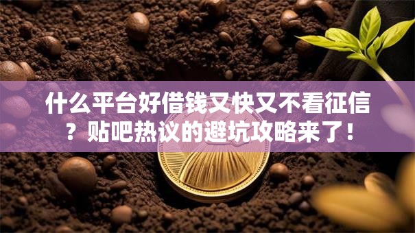 什么平台好借钱又快又不看征信？贴吧热议的避坑攻略来了！