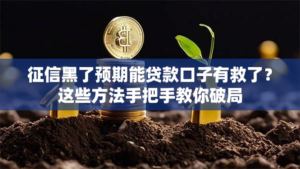 征信黑了预期能贷款口子有救了？这些方法手把手教你破局