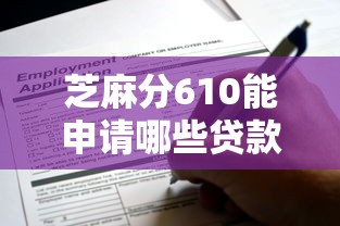 芝麻分610能申请哪些贷款？这些口子别错过！