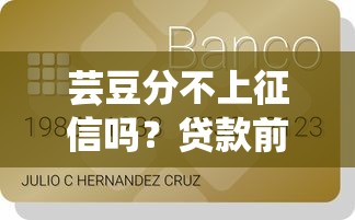 芸豆分不上征信吗？贷款前必看的信用审核真相