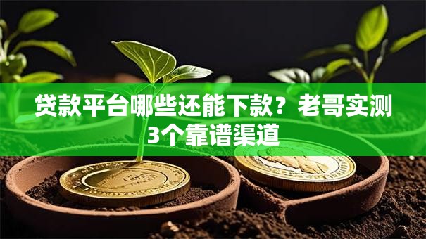 贷款平台哪些还能下款？老哥实测3个靠谱渠道