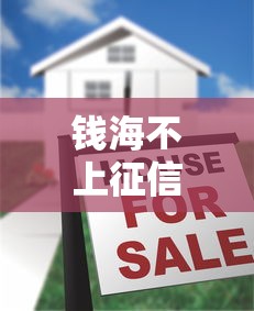 钱海不上征信？揭秘贷款审核中的避坑指南！