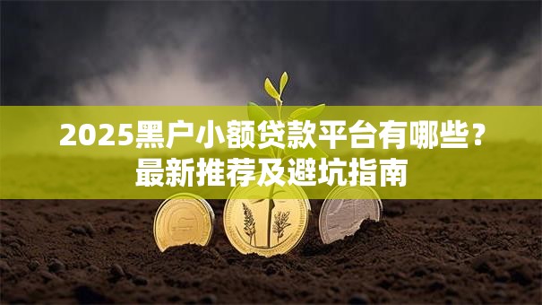 2025黑户小额贷款平台有哪些？最新推荐及避坑指南
