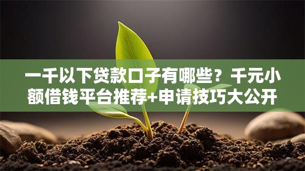 一千以下贷款口子有哪些？千元小额借钱平台推荐+申请技巧大公开！