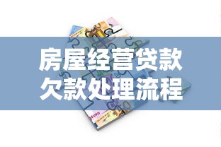 房屋经营贷款欠款处理流程解析及应对方案