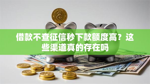 借款不查征信秒下款额度高？这些渠道真的存在吗