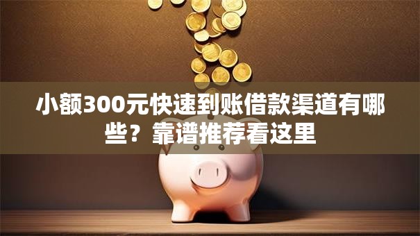 小额300元快速到账借款渠道有哪些？靠谱推荐看这里