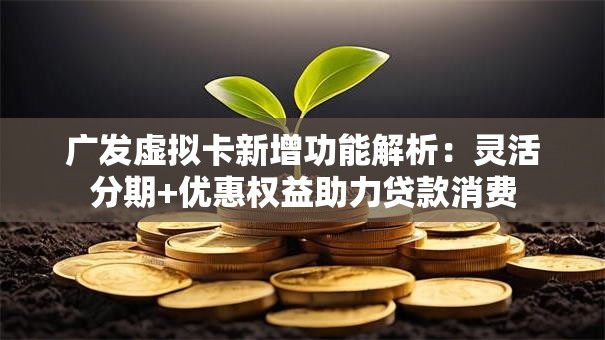 广发虚拟卡新增功能解析：灵活分期+优惠权益助力贷款消费