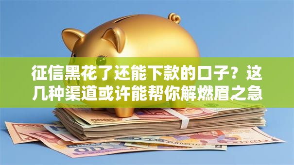 征信黑花了还能下款的口子？这几种渠道或许能帮你解燃眉之急！