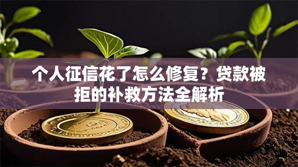 个人征信花了怎么修复？贷款被拒的补救方法全解析