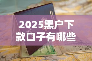 2025黑户下款口子有哪些？最新申请攻略+避坑指南
