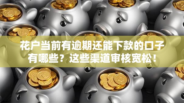 花户当前有逾期还能下款的口子有哪些？这些渠道审核宽松！