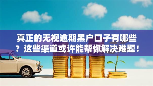 真正的无视逾期黑户口子有哪些？这些渠道或许能帮你解决难题！