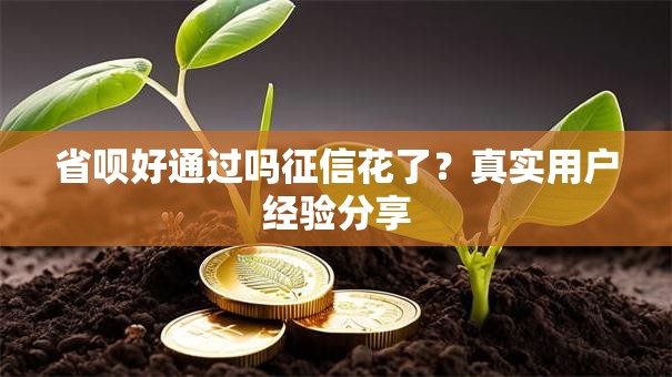 省呗好通过吗征信花了？真实用户经验分享