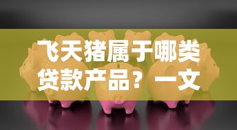 飞天猪属于哪类贷款产品？一文解析系列口子与申请技巧