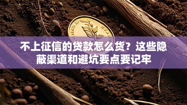 不上征信的贷款怎么货？这些隐蔽渠道和避坑要点要记牢