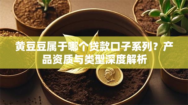 黄豆豆属于哪个贷款口子系列？产品资质与类型深度解析