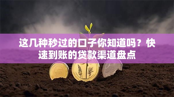 这几种秒过的口子你知道吗？快速到账的贷款渠道盘点