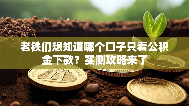老铁们想知道哪个口子只看公积金下款？实测攻略来了