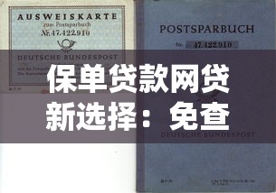 保单贷款网贷新选择：免查征信快速到账攻略