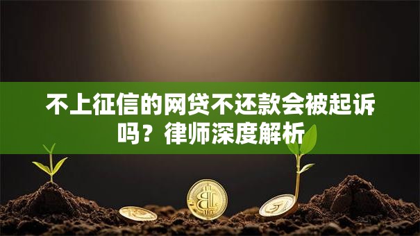 不上征信的网贷不还款会被起诉吗？律师深度解析
