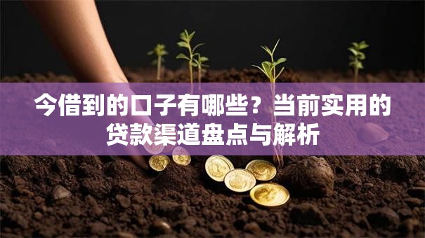 今借到的口子有哪些？当前实用的贷款渠道盘点与解析
