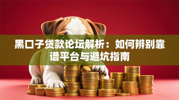 黑口子贷款论坛解析：如何辨别靠谱平台与避坑指南