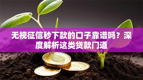 无视征信秒下款的口子靠谱吗？深度解析这类贷款门道