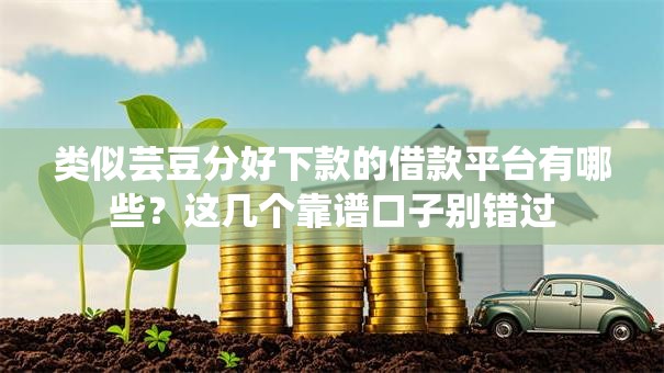 类似芸豆分好下款的借款平台有哪些？这几个靠谱口子别错过