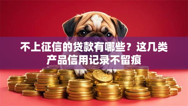 不上征信的贷款有哪些？这几类产品信用记录不留痕