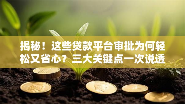 揭秘！这些贷款平台审批为何轻松又省心？三大关键点一次说透