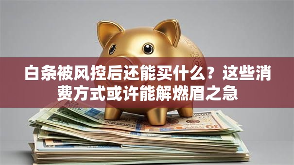 白条被风控后还能买什么？这些消费方式或许能解燃眉之急