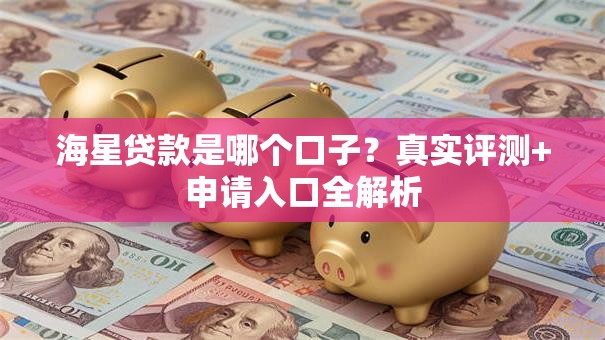 海星贷款是哪个口子？真实评测+申请入口全解析