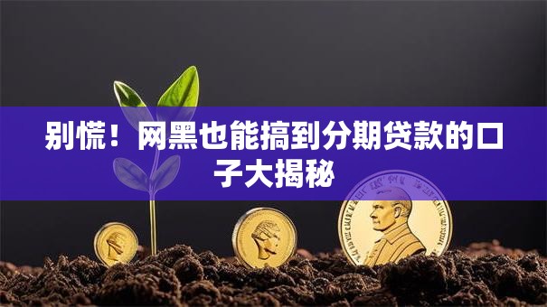 别慌！网黑也能搞到分期贷款的口子大揭秘