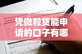 凭微粒贷能申请的口子有哪些？这些靠谱平台值得一试！