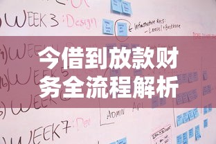今借到放款财务全流程解析：资质要求与操作注意事项