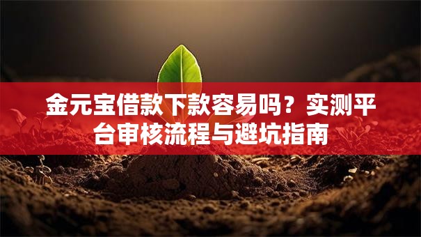 金元宝借款下款容易吗？实测平台审核流程与避坑指南