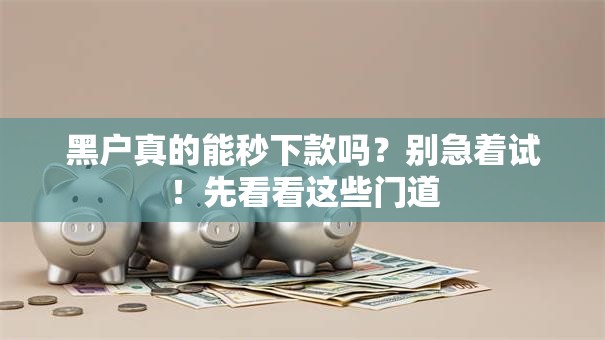 黑户真的能秒下款吗？别急着试！先看看这些门道
