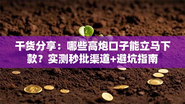 干货分享：哪些高炮口子能立马下款？实测秒批渠道+避坑指南