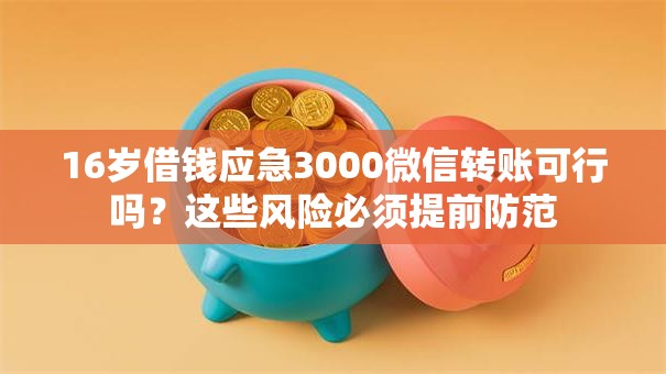 16岁借钱应急3000微信转账可行吗？这些风险必须提前防范