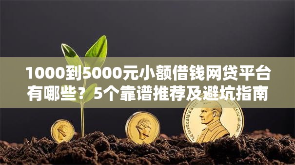 1000到5000元小额借钱网贷平台有哪些？5个靠谱推荐及避坑指南