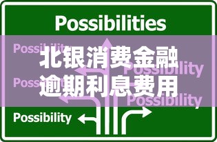 北银消费金融逾期利息费用详解及合理应对策略