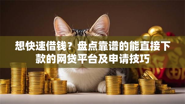 想快速借钱？盘点靠谱的能直接下款的网贷平台及申请技巧