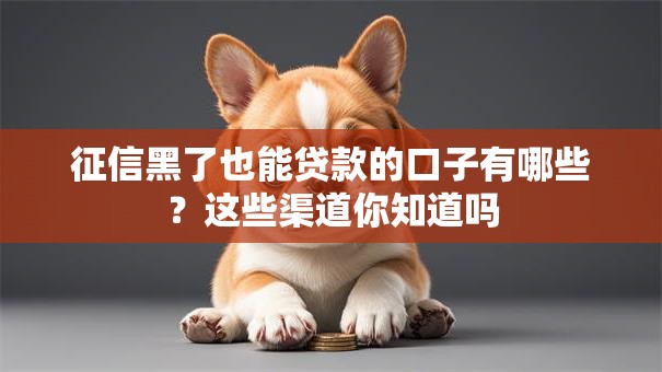 征信黑了也能贷款的口子有哪些？这些渠道你知道吗