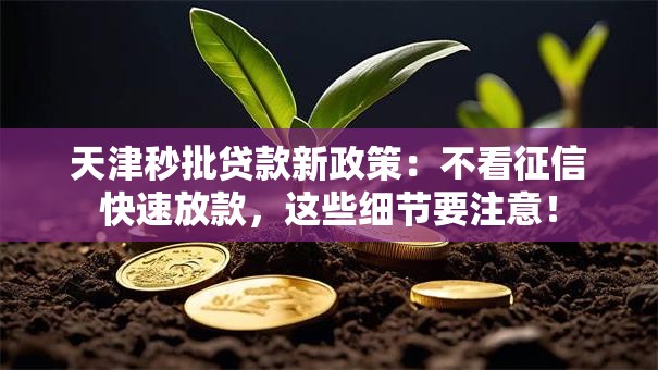 天津秒批贷款新政策：不看征信快速放款，这些细节要注意！