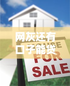 网灰还有口子能贷款吗？真实情况大揭秘！