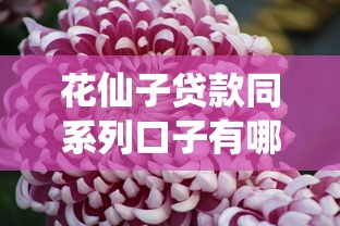花仙子贷款同系列口子有哪些？这几个靠谱平台值得一试！