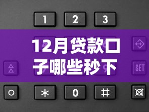 12月贷款口子哪些秒下款快？实测靠谱平台推荐+申请技巧分享