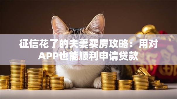 征信花了的夫妻买房攻略：用对APP也能顺利申请贷款