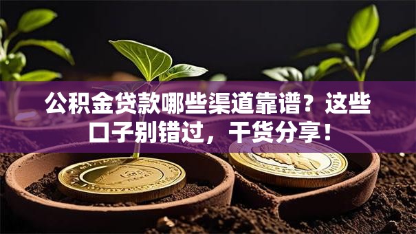 公积金贷款哪些渠道靠谱？这些口子别错过，干货分享！